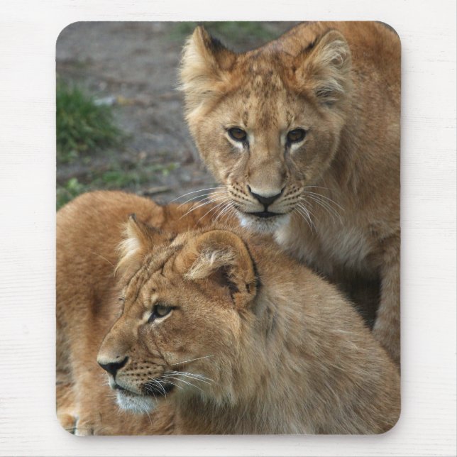 Mousepad Leão 033 (Frente)