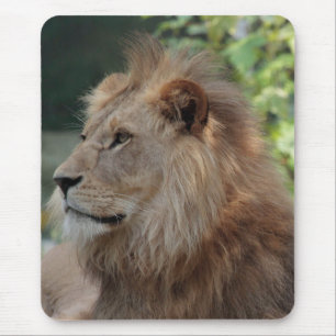 Mousepad Leão 035