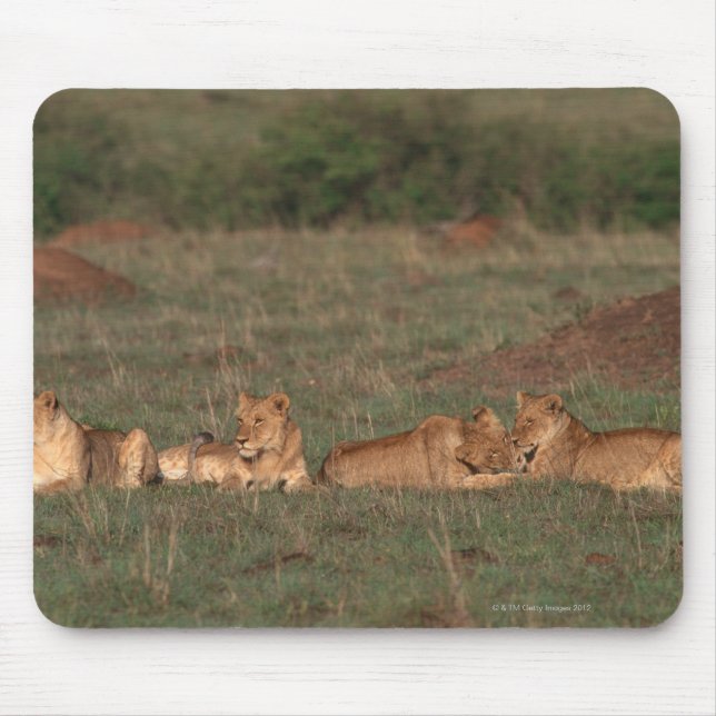 Mousepad Leão 4 (Frente)