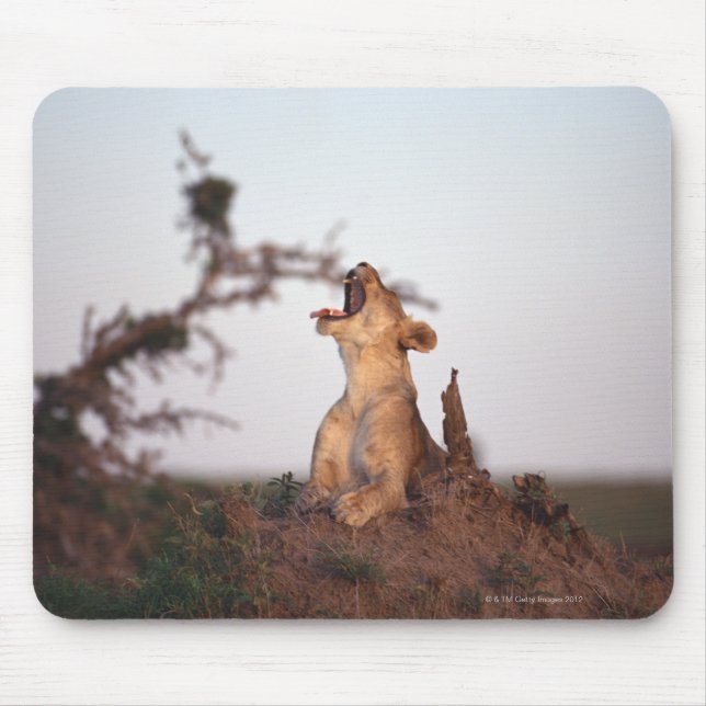 Mousepad Leão 7 (Frente)