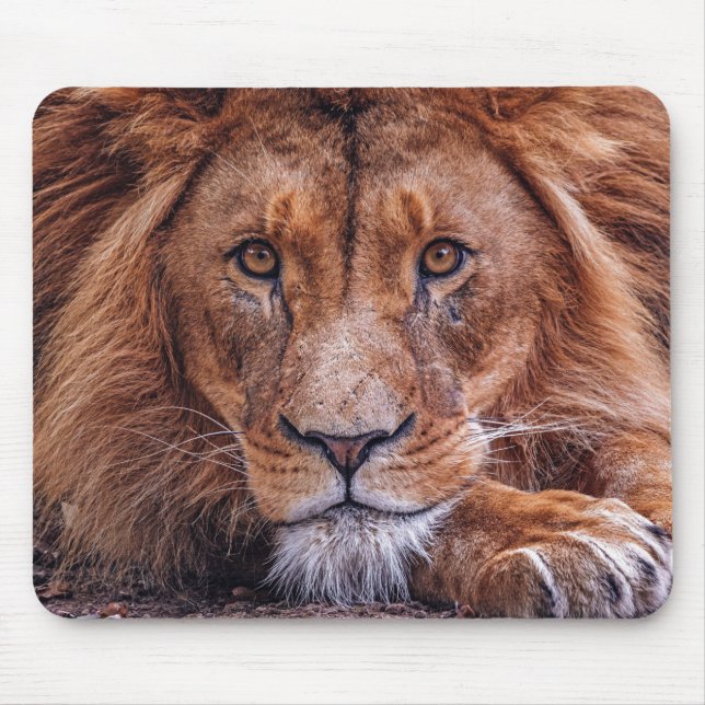 Mousepad Leão Africano (Frente)