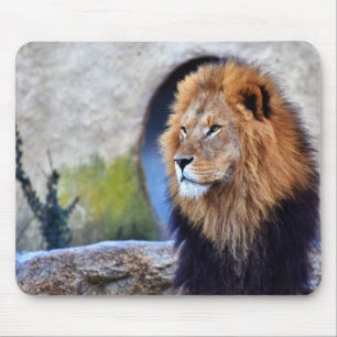 Mousepad Leão Africano