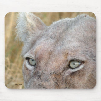 MOUSEPAD LEÃO BRANCO RARO