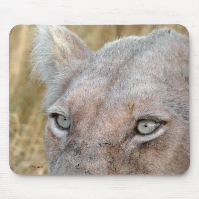 MOUSEPAD LEÃO BRANCO RARO  (Frente)