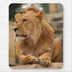 Mousepad Leão com corte de cabelo punk