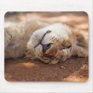 Mousepad Leão Cub do sono das imagens de Getty