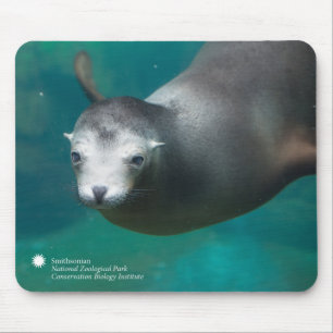 Mousepad Leão de mar de Smithsonian