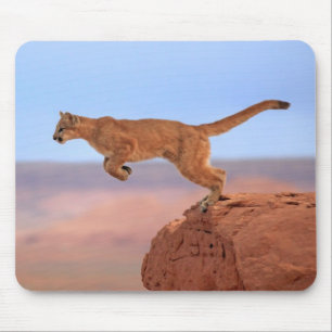 Mousepad Leão de montanha