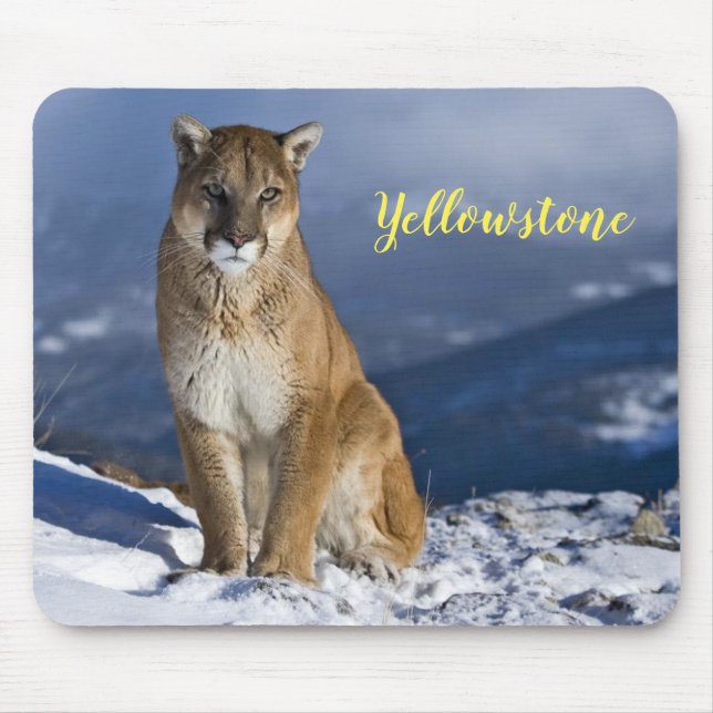 Mousepad Leão de Montanha do Mouse Pad-Yellowstone (Frente)