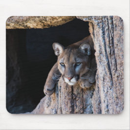 Mousepad Leão de Montanha em Caverna