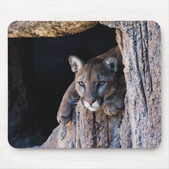 Mousepad Leão de Montanha em Caverna (Frente)