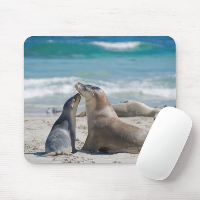 Mousepad Leão do Mar da Austrália com filhotes na praia (Com mouse)