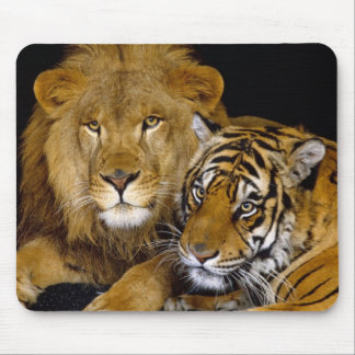 Mousepad leão e um tigre