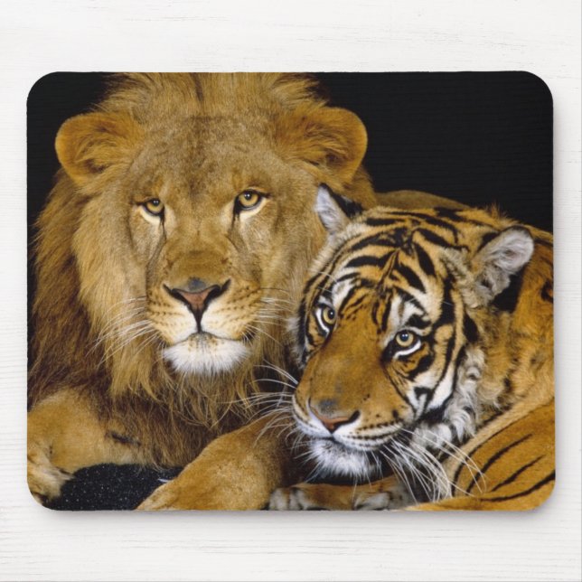 Mousepad leão e um tigre (Frente)