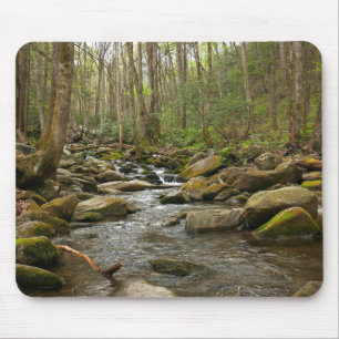 Mousepad LeConte Creek nas Montanhas do Enfumaçado do Excel