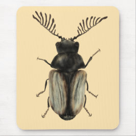 Mousepad Legal arte de entomologia do amante de insetos