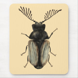 Mousepad Legal arte de entomologia do amante de insetos