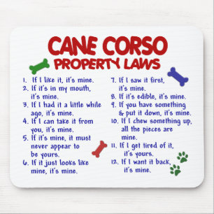 Mousepad Leis 2 da propriedade do BASTÃO CORSO