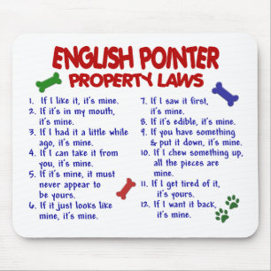 Mousepad Leis INGLESAS 2 da propriedade do PONTEIRO