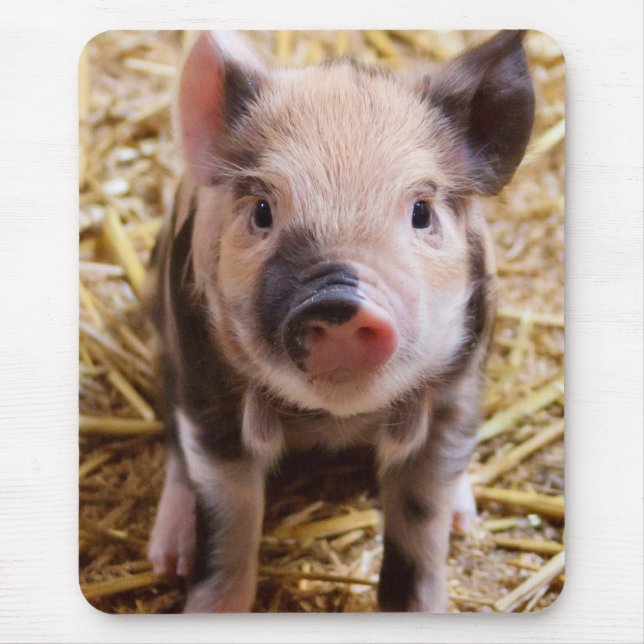 Mousepad Leitão (Frente)