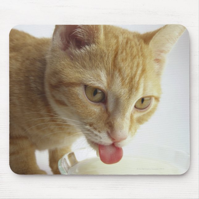 Mousepad Leite de bebendo (Frente)