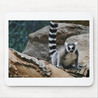 Mousepad Lemur atado anel
