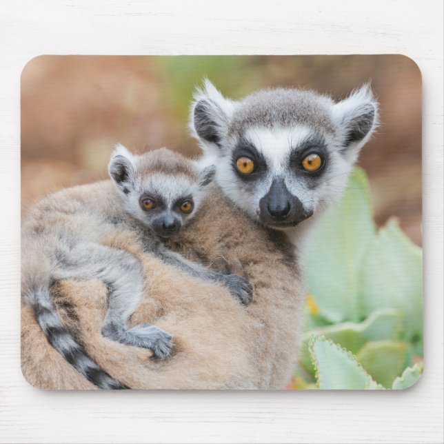 Mousepad Lêmure-de-cauda-anelada bebê nas costas da mãe (Frente)