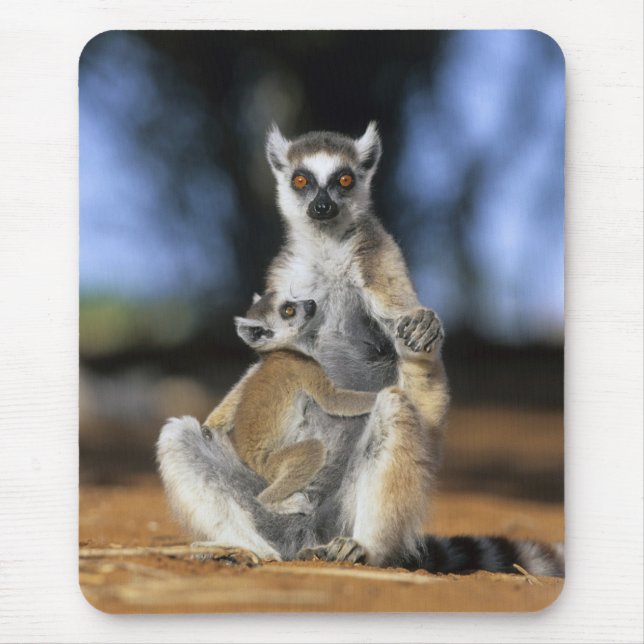 Mousepad Lêmure-de-cauda-anelada, (Lemur catta), Mãe e (Frente)