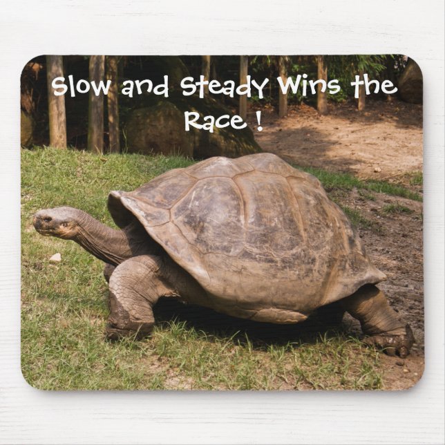 Mousepad Lento e constante tapete do rato da tartaruga (Frente)