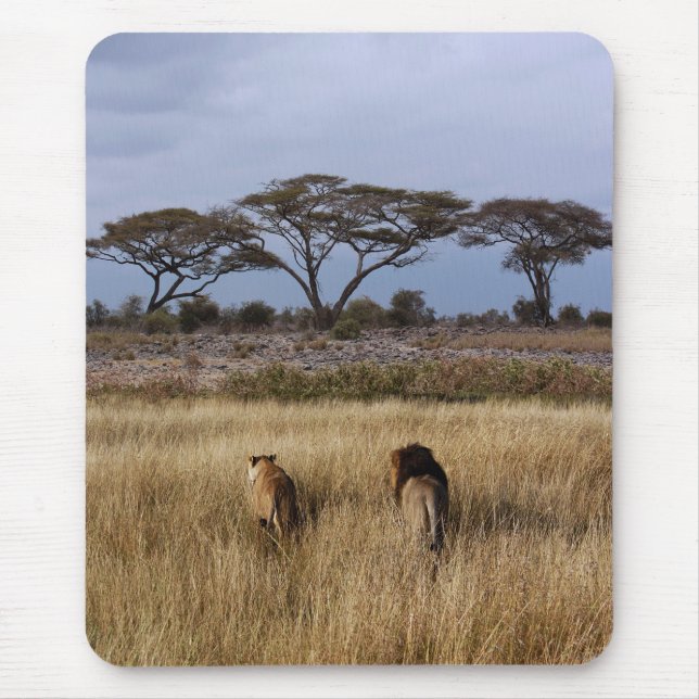 Mousepad Leões em uma África simples (Frente)
