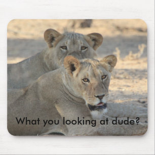 Mousepad Leões engraçados