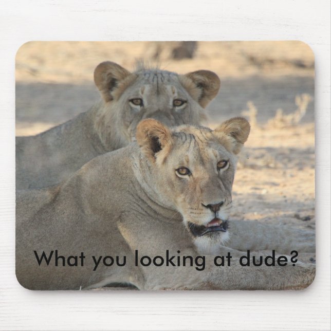 Mousepad Leões engraçados (Frente)