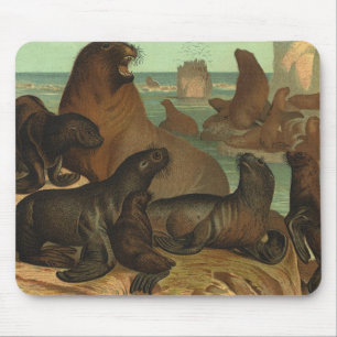 Mousepad Leões Marinhos na Praia, Vida Marinha Animal Vinta