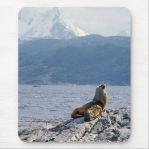 Mousepad Leões marinhos no canal de beagle - Argentina