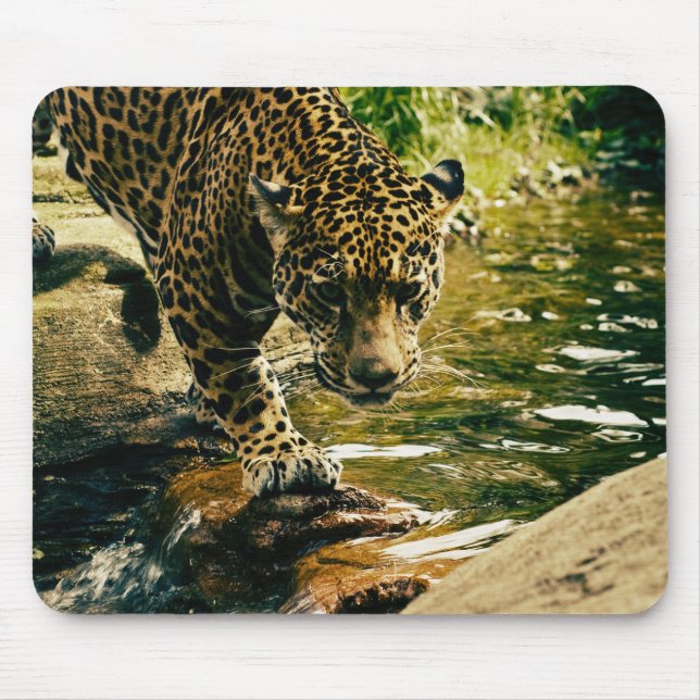 Mousepad Leopard Cruzando uma Fotografia de Fluxo (Frente)