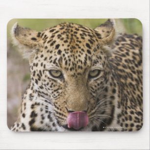 Mousepad Leopardo