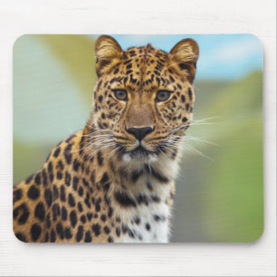 Mousepad Leopardo
