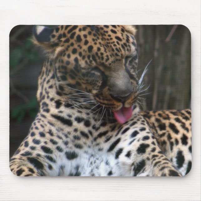 Mousepad Leopardo (Frente)