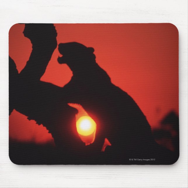 Mousepad leopardo (Frente)
