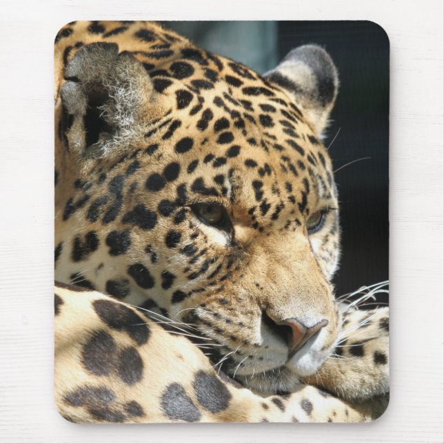 Mousepad Leopardo 004 (Frente)