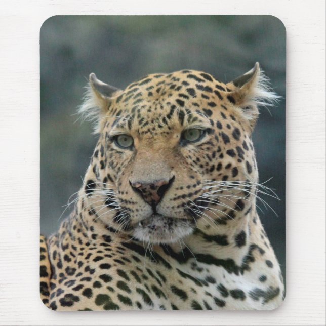 Mousepad Leopardo 006 (Frente)