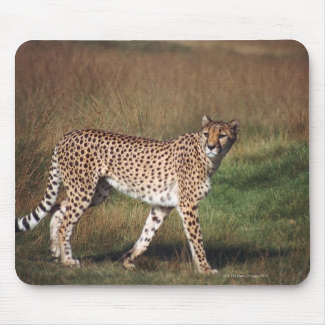 Mousepad leopardo 3 (Frente)