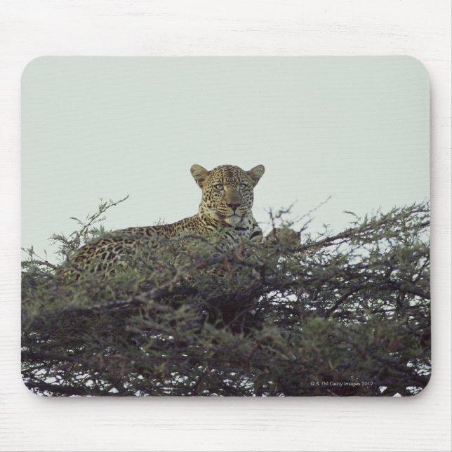 Mousepad leopardo africano (Frente)