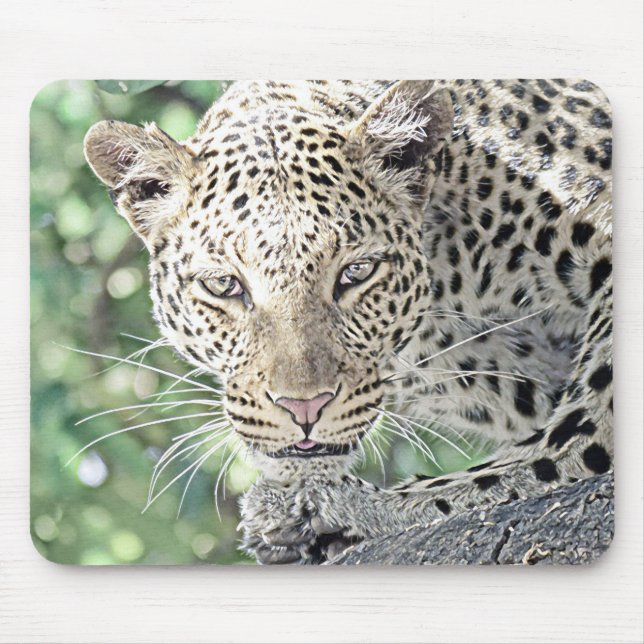 Mousepad leopardo-animal smartmix 2 (Frente)