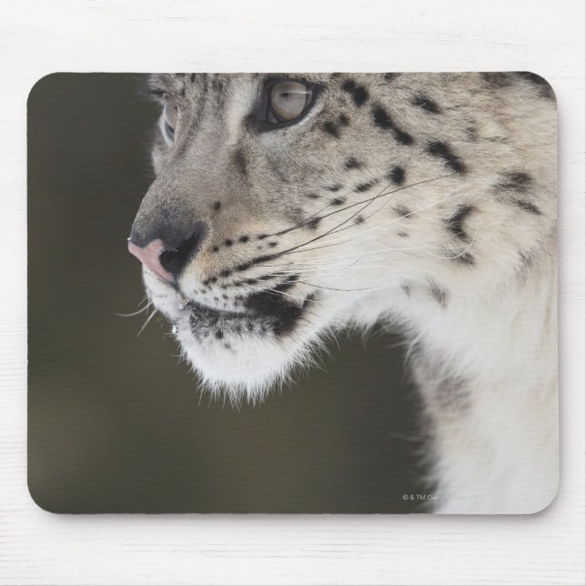 Mousepad Leopardo-da-neve (Declaração da Uência) (Frente)