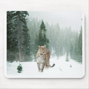 Mousepad Leopardo da Neve Persa na Neve