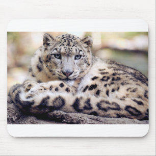 Mousepad Leopardo de Neve