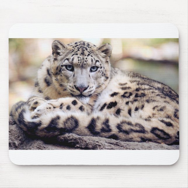Mousepad Leopardo de Neve (Frente)