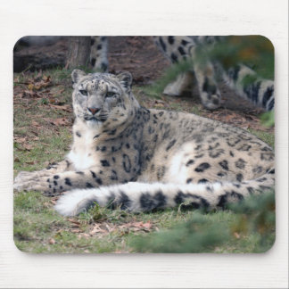 Mousepad leopardo de neve 26