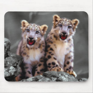 Mousepad Leopardo de neve Cubs